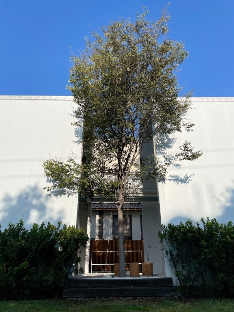 新宿スモークカフェ3