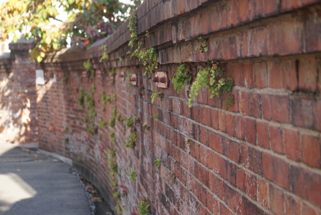 原宿スモークカフェ6